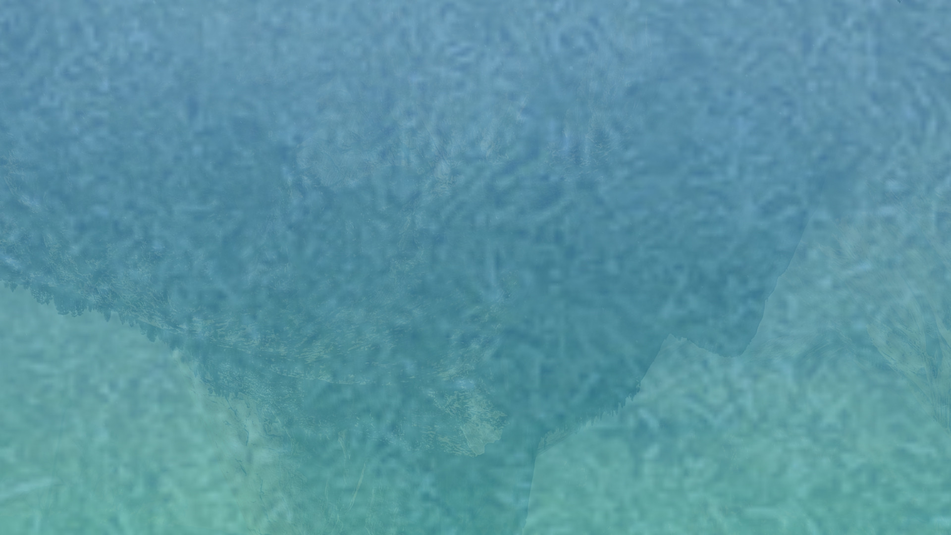 快速协议转换的ddos在线攻击平台